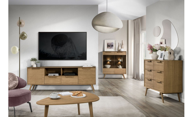 Tumba RTV LEO 25